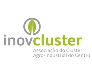 InovCluster